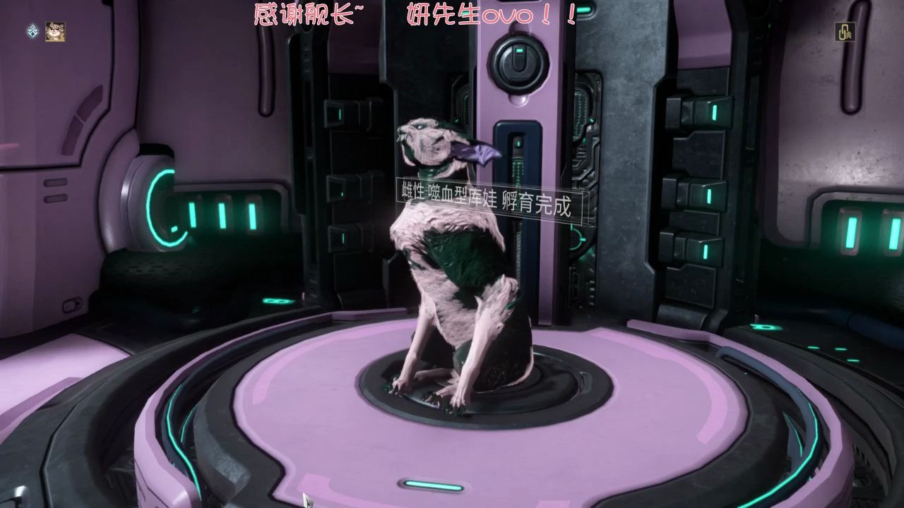 星际战甲猫基因哪里多