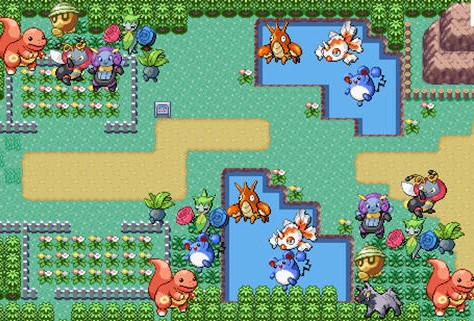 口袋妖怪火红打完华蓝道馆怎么走