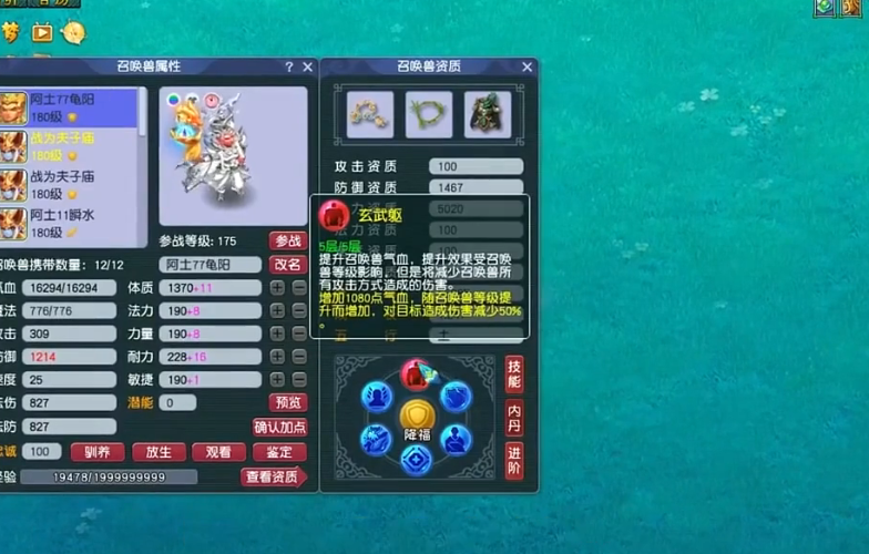 梦幻西游龟速宝宝装什么纹饰