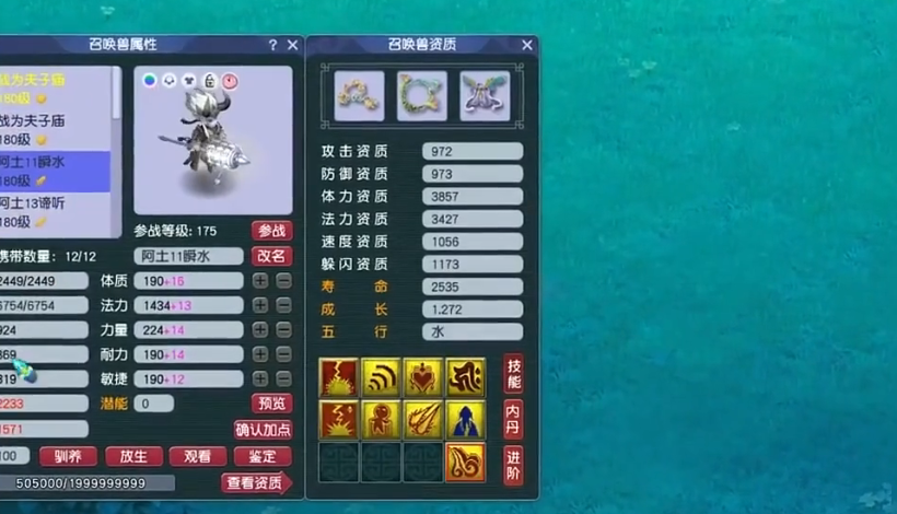 梦幻西游龟速宝宝装什么纹饰