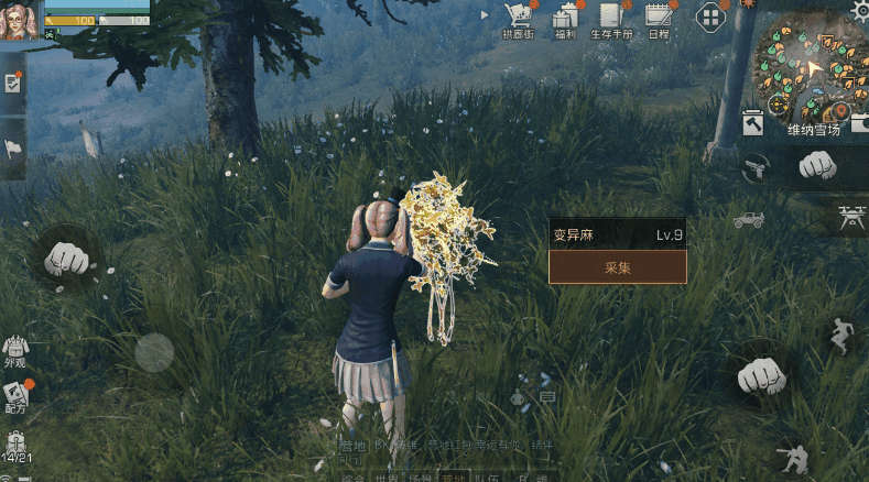 明日之后什么基础材料好卖