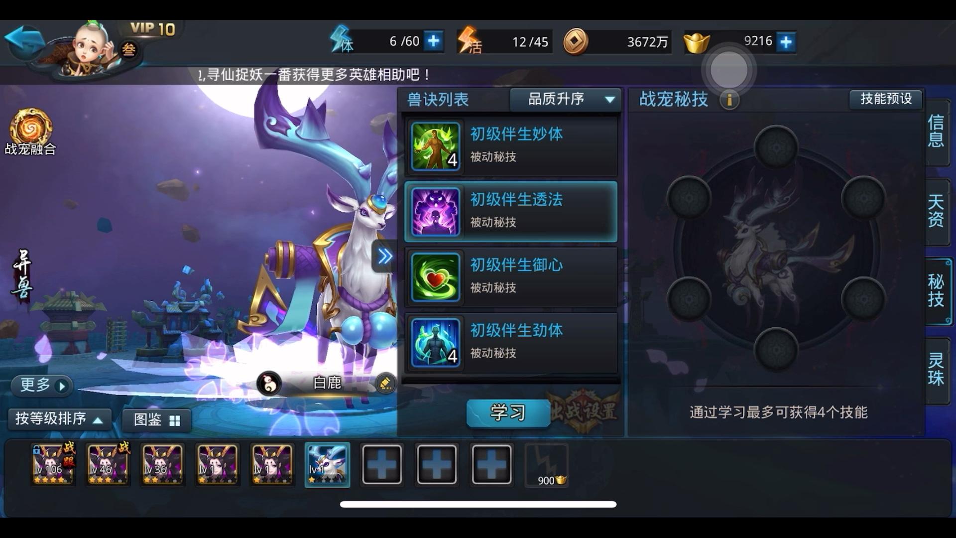 乱斗西游2战宠什么玩