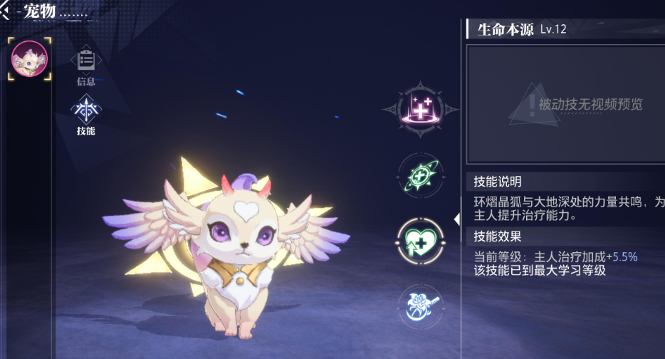 晶核带什么宠物最好