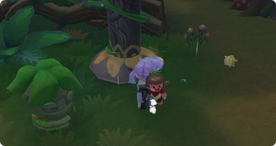 摩尔庄园向导怎么巡逻 摩尔庄园向导怎么巡逻