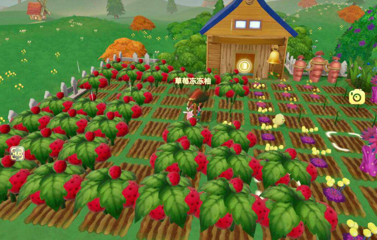 摩尔庄园怎么买草莓种子