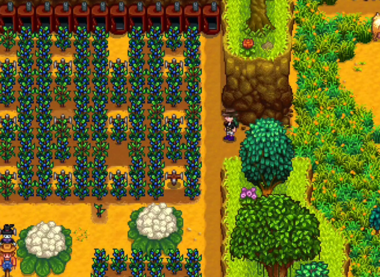 星露谷物语夏天雨天干什么