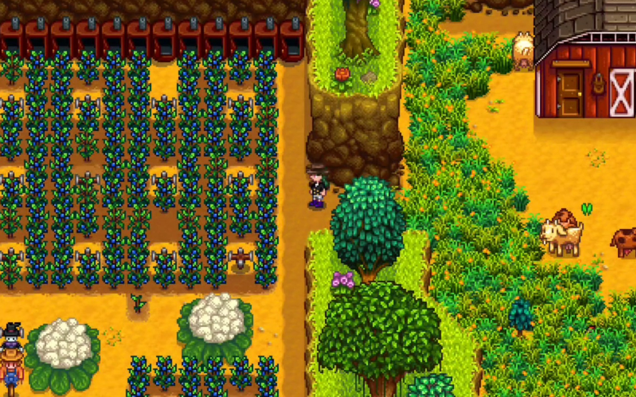 星露谷物语夏天怎么玩