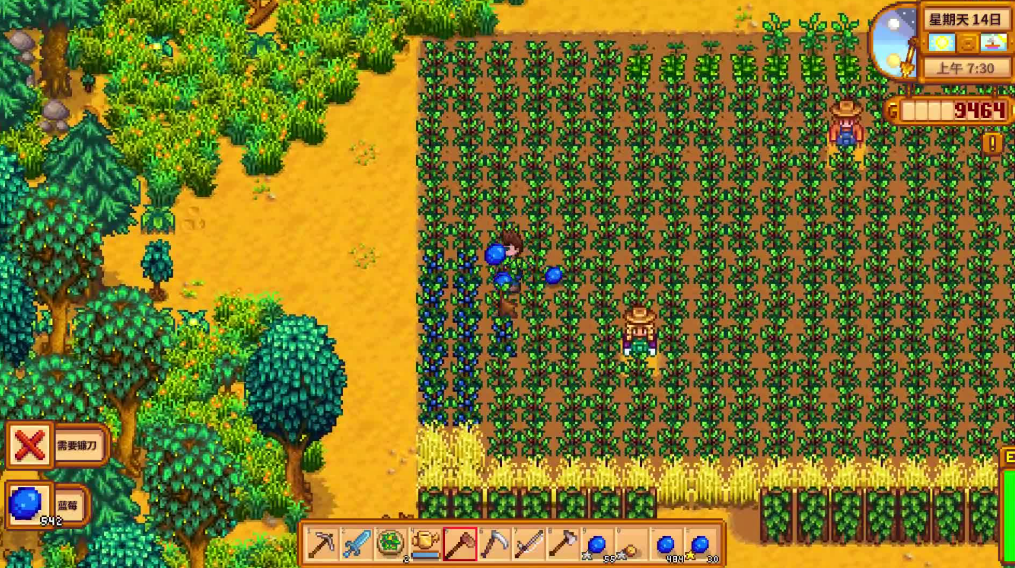 星露谷物语种什么农作物最好