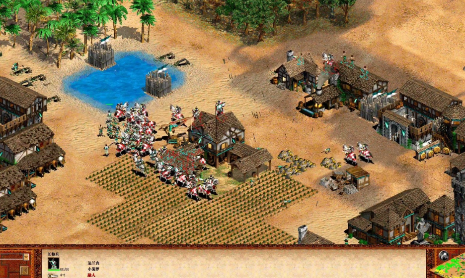 帝国时代2最强兵种搭配图是什么