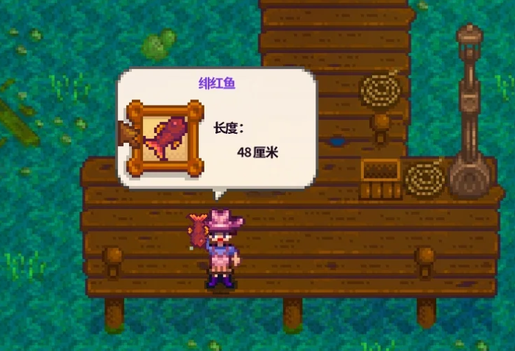 星露谷物语夏季鱼王怎么钓