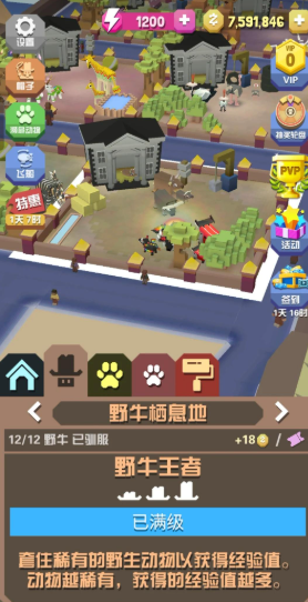 疯狂动物园里的野牛如何驯服