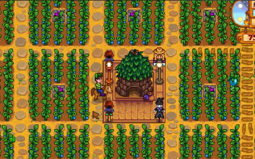 星露谷物语什么作物价值高 星露谷物语什么作物价值高