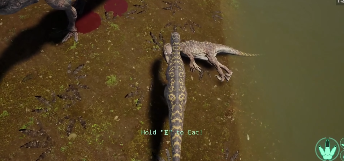 恐龙岛恐龙等级怎么升