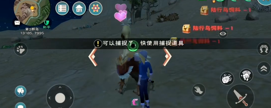 创造与魔法普通鸟的饲料怎么做