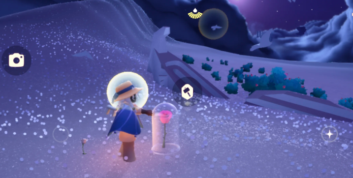 光遇在云野赏花怎么做