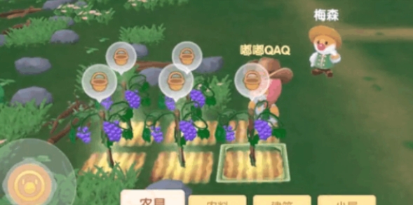 摩尔庄园葡萄要怎么种