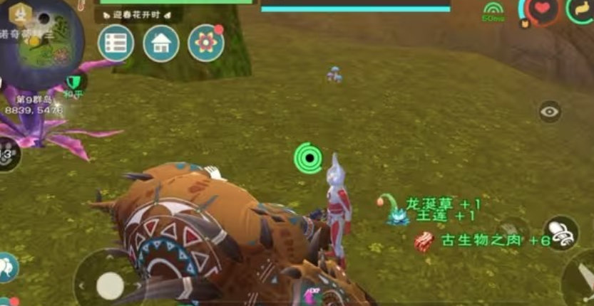 创造与魔法龙涎草位置分布在哪里 创造与魔法龙涎草位置分布在哪里