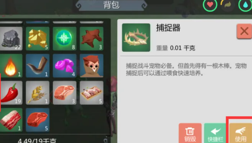 创造与魔法绿蜥蜴怎么抓 创造与魔法绿蜥蜴怎么抓