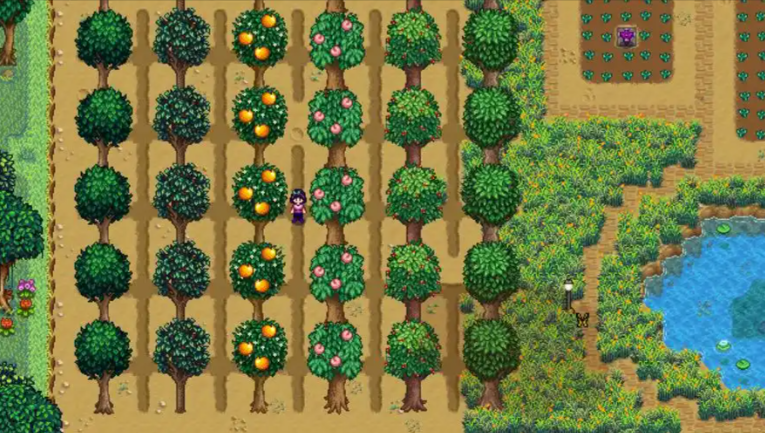 星露谷物语什么树苗好