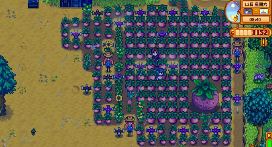 星露谷物语甜瓜怎么赚钱 星露谷物语甜瓜怎么赚钱