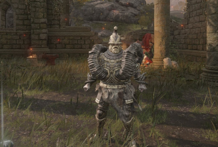 艾尔登法环服装推荐什么